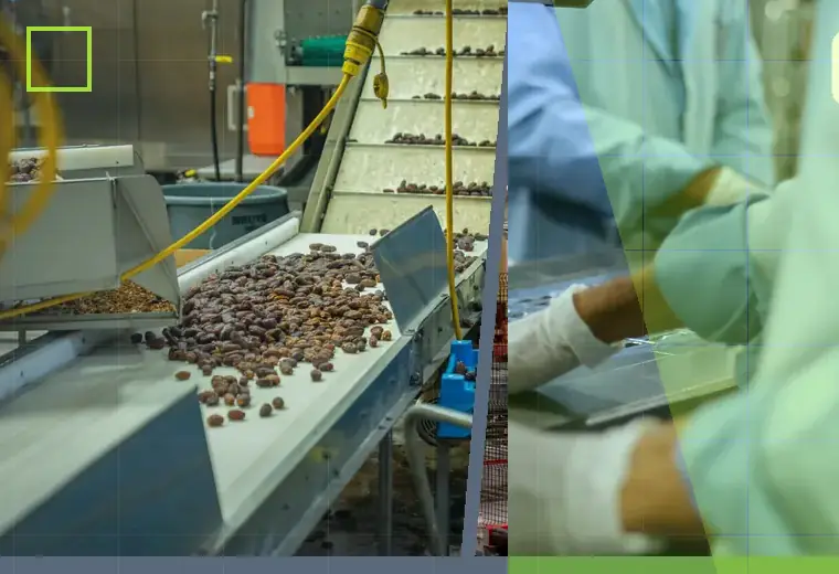 Production process relating to vertical form-fill-seal bags