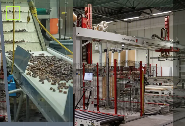 Production process relating to dropper caps