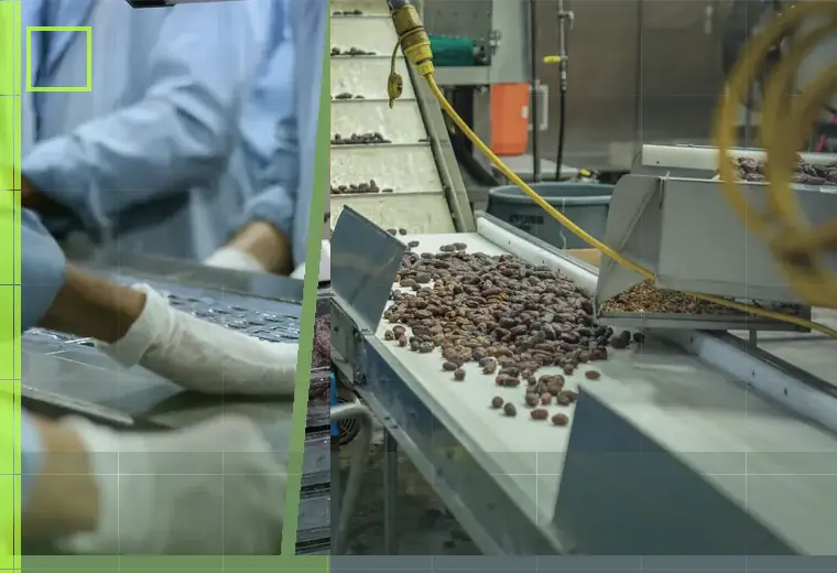 Production process for shipping labels