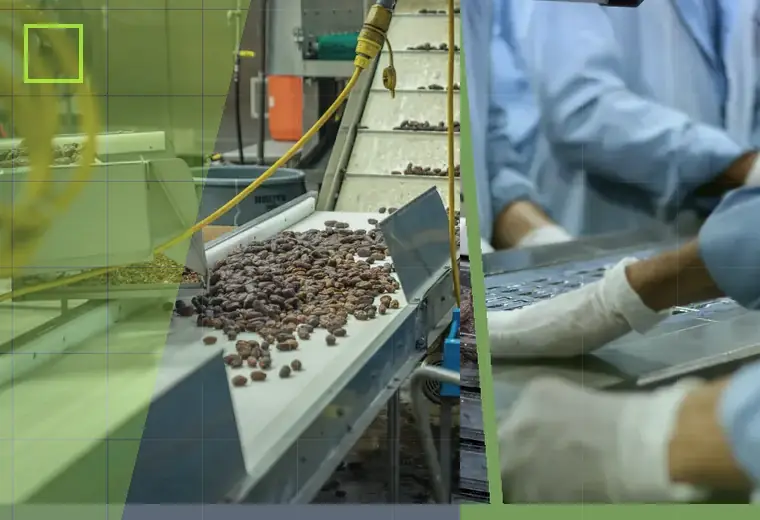 Production process relating to batch coding