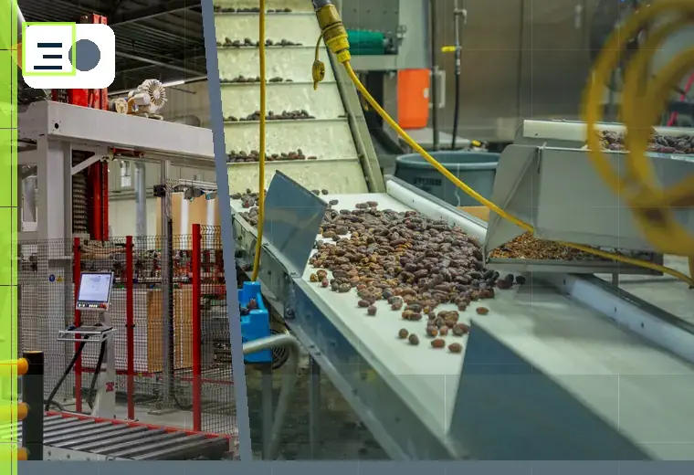 Production process relating to indexing conveyors