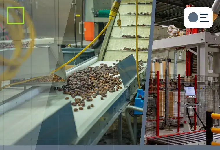 Production process relating to quad-seal bags