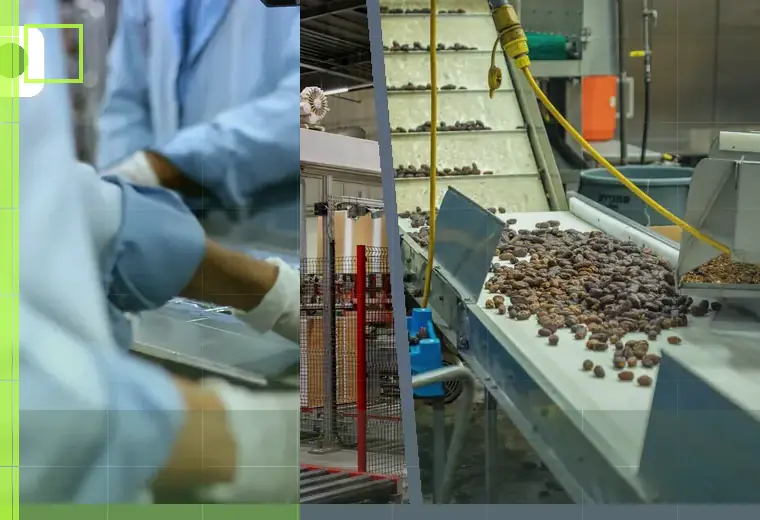 Production process relating to syrups and honey