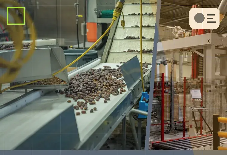 Production process relating to tablets and capsules