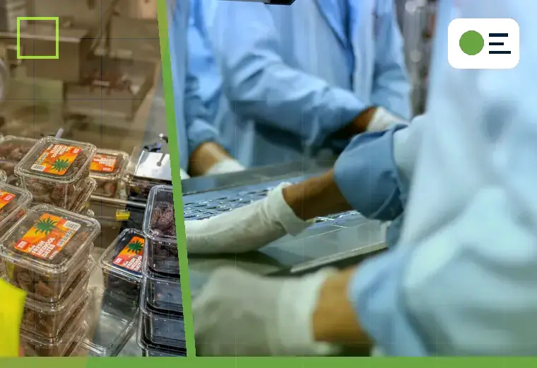 Production process relating to aerated powders