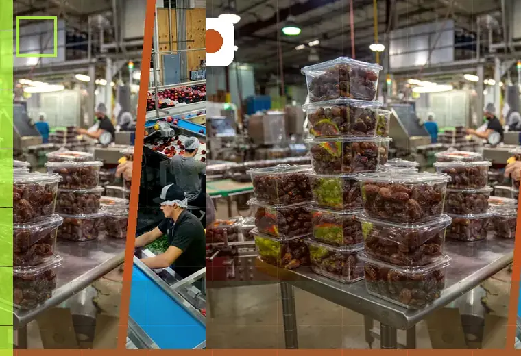 Production process relating to pet food