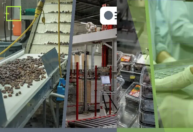 Production process relating to dispensing pumps