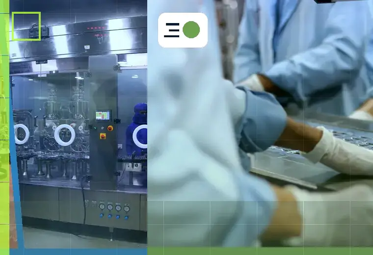 Production process relating to heat seals