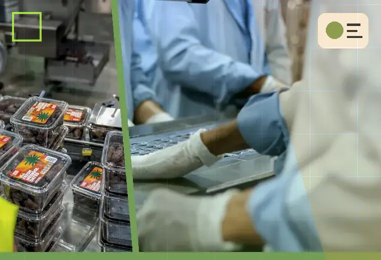 Production process relating to solvents