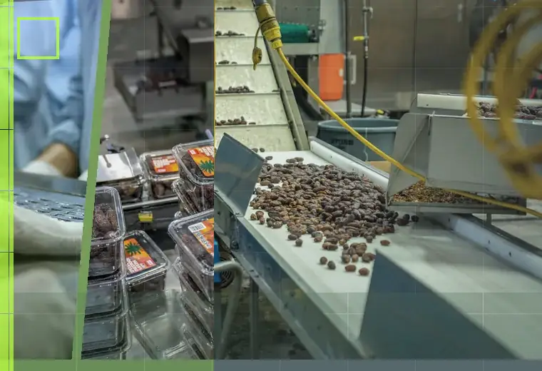 Production process relating to adhesives and sealants