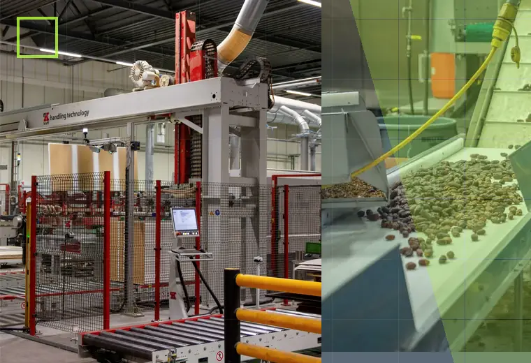 Production process relating to nutraceutical production