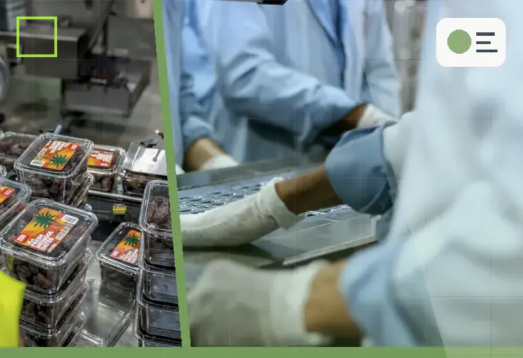Production process relating to paints and coatings