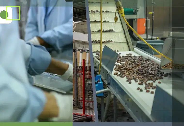 Production process relating to pouch opening and feeding