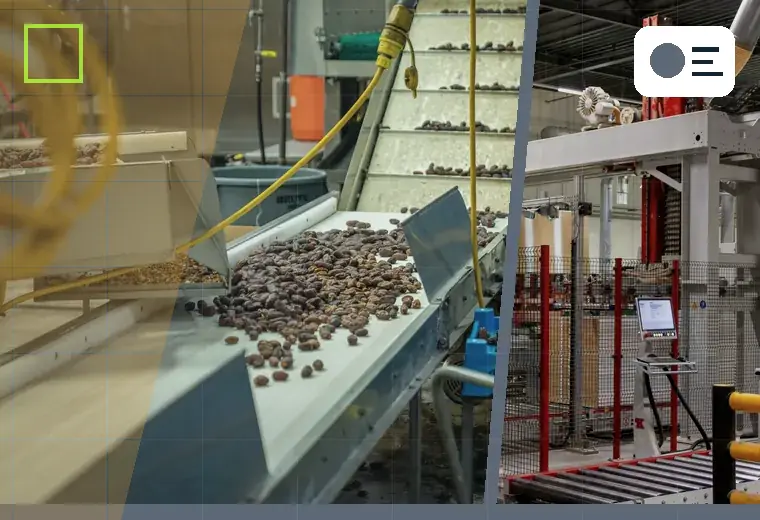 Production process relating to sugar and salt