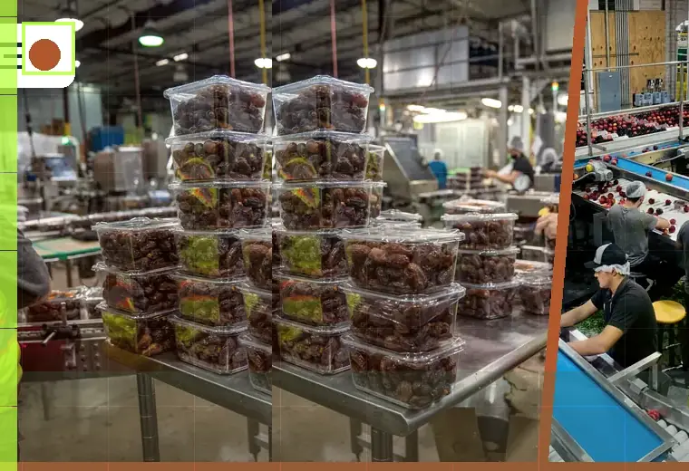 Production process relating to cans