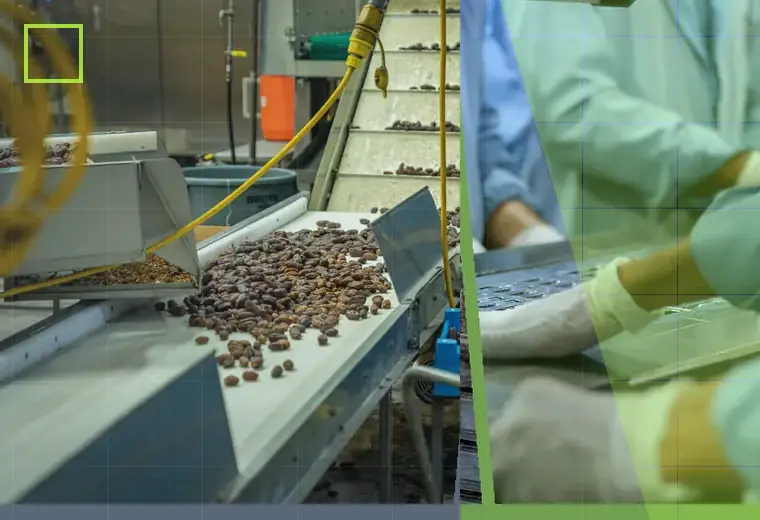 Production process relating to robotic packing