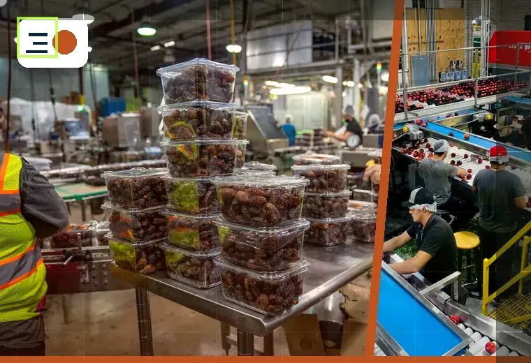 Production process relating to spices and seasonings