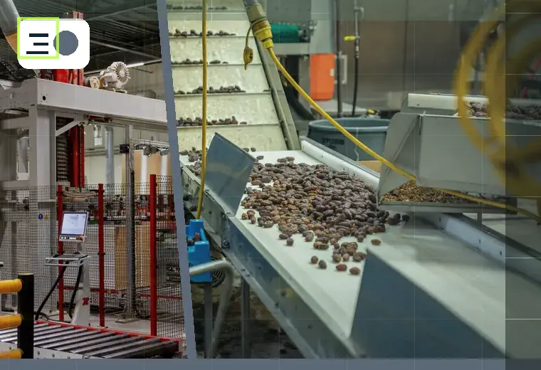 Production process relating to returnable-bottle washing