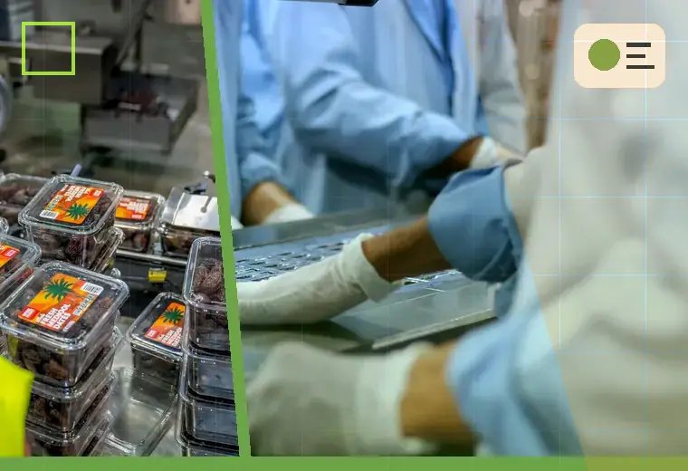 Production process relating to granules and pellets