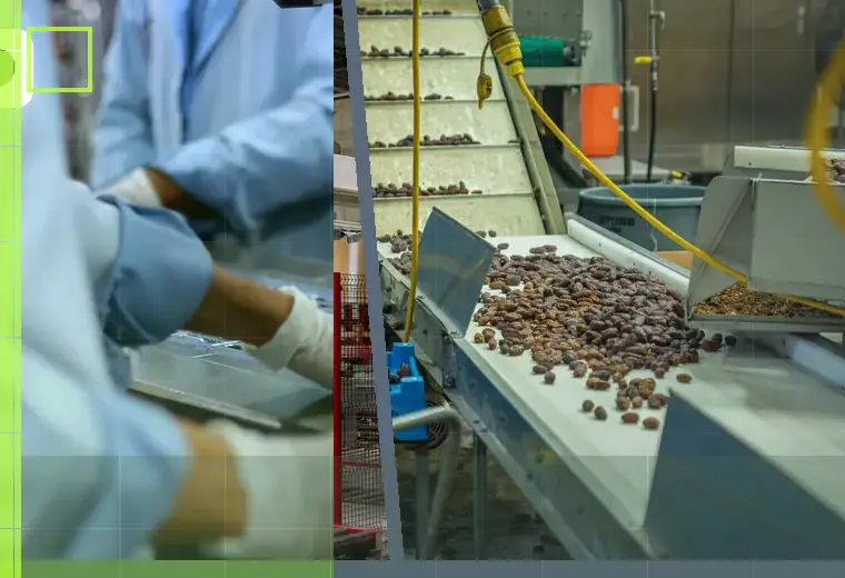 Production process relating to vacuum lids