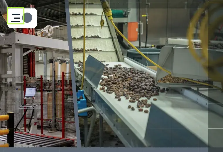 Production process relating to case packing