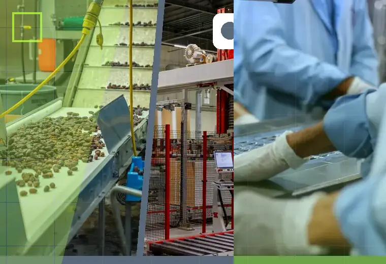 Production process relating to pouch opening and feeding