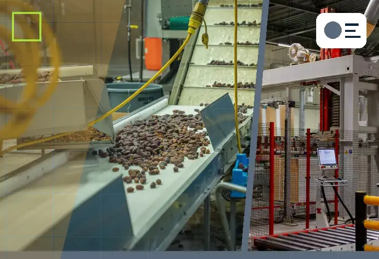 Production process relating to cohesive powders