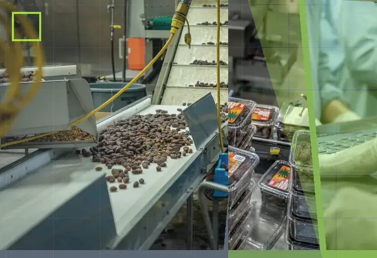 Production process relating to batch coding