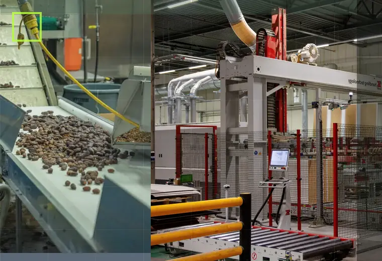 Production process relating to multipacking
