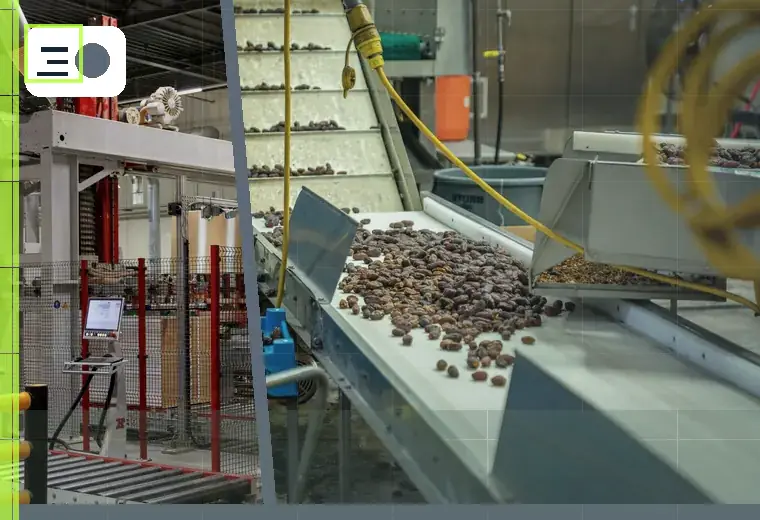 Production process relating to finished-pack inspection
