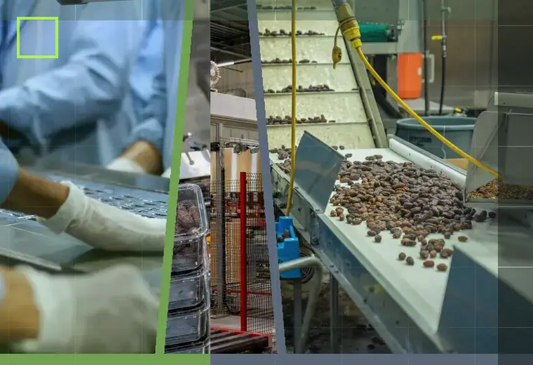 Production process relating to palletising
